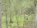 Leimaus2010 114